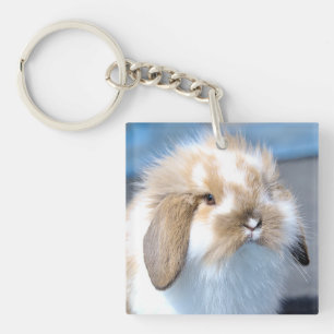 Cute Flemish white and brown rabbit     Keychain