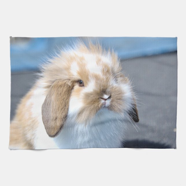 Cute Flemish white and brown rabbit      Kitchen Towel (Horizontal)