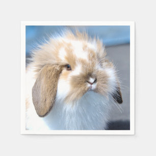 Cute Flemish white and brown rabbit Napkin
