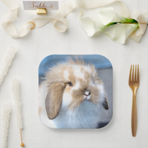 Cute Flemish white and brown rabbit Paper Plate