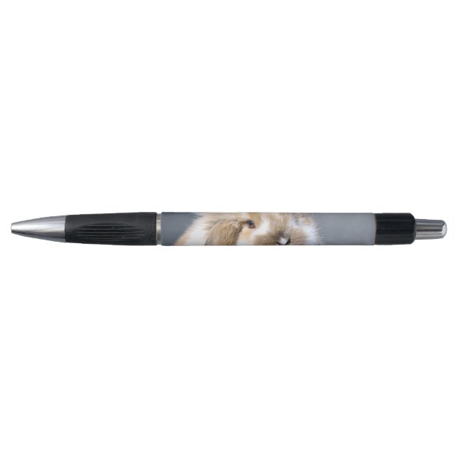 Cute Flemish white and brown rabbit      Pen (Front)