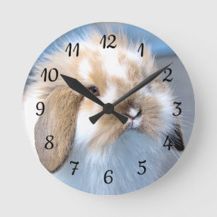 Cute Flemish white and brown rabbit Round Clock