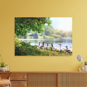 Cute Flock of Geese Lake Forest Canvas Print