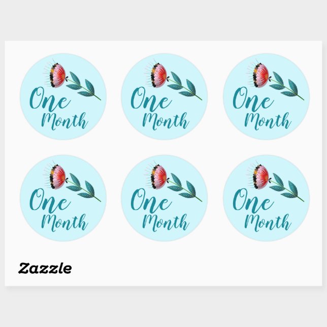 Cute Floral Baby Milestone Classic Round Sticker (Sheet)