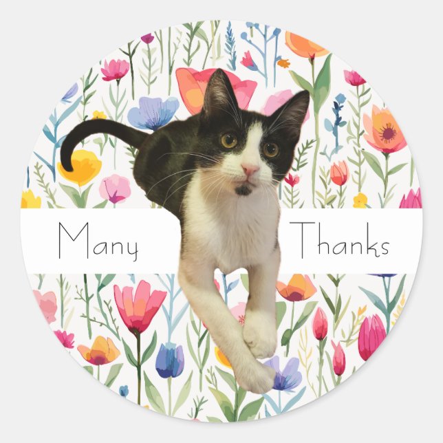 Cute Floral Flowers Cat Thank You Stickers (Front)
