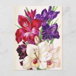 Cute Floral Postcard