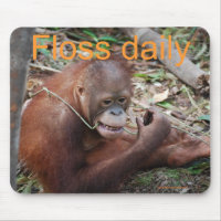 Cute Floss Your Teeth Animal