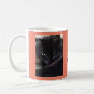 Cute Fluffy Black Cat Photo Personalized Coffee Mug