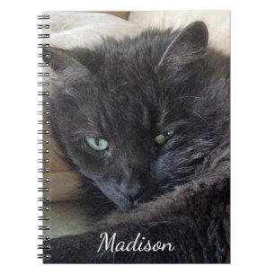 Cute Fluffy Black Cat Photo Personalized Name Notebook