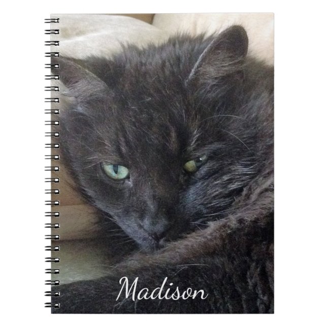 Cute Fluffy Black Cat Photo Personalized Name Notebook (Front)