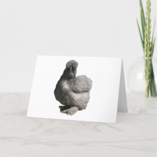 Cute Fluffy Blue Silkie Chicken Card
