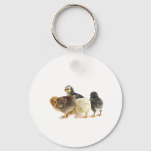 cute fluffy chicks keychain