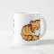 cute fluffy ginger and white cat