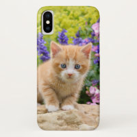 Cute Fluffy Ginger Cat Kitten in Flowers Pet Photo