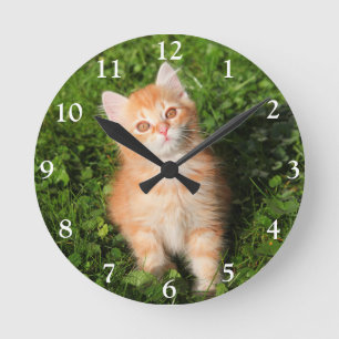 Cute Fluffy Orange Tabby Cat Kitten Round Clock