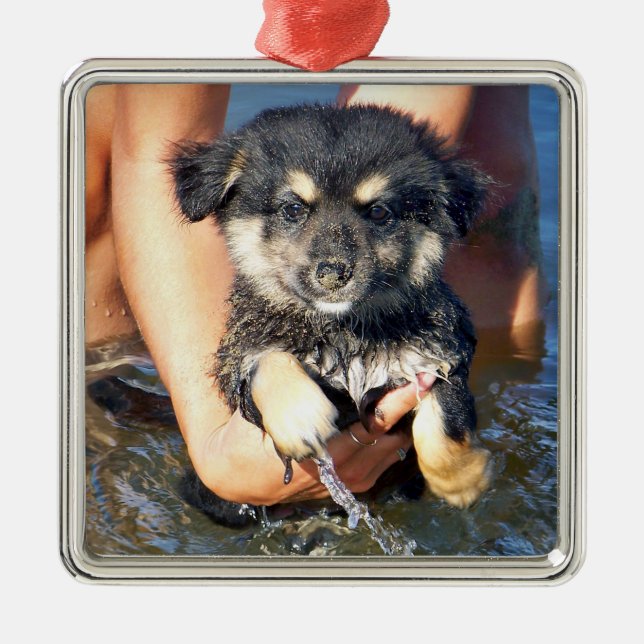 Cute Fluffy Puppy Dog Photograph Metal Ornament (Front)