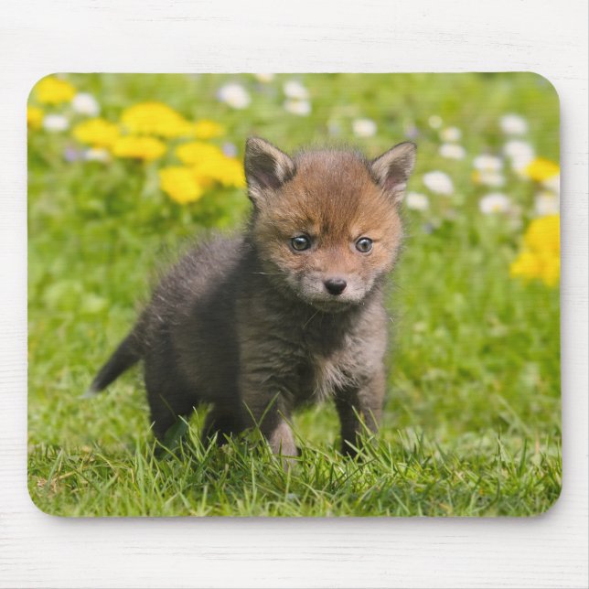 Cute Fluffy Red Fox Cub Wild Baby Animal Photo - Mouse Pad (Front)