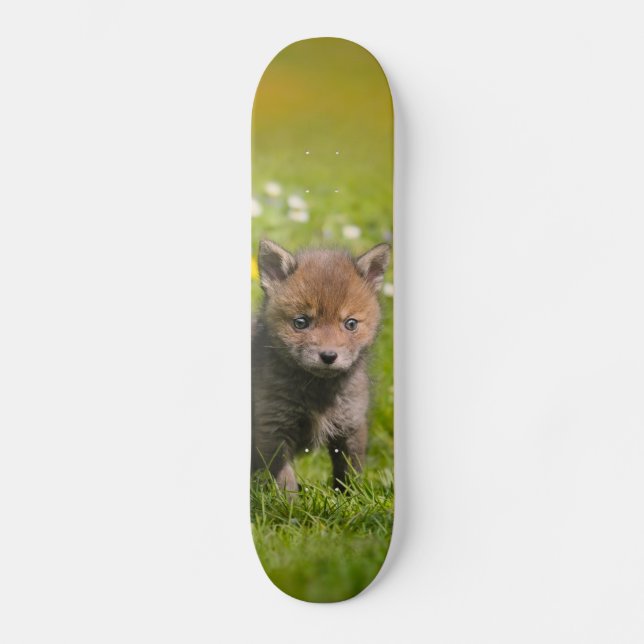 Cute Fluffy Red Fox Cub Wild Baby Animal Photo - Skateboard (Front)