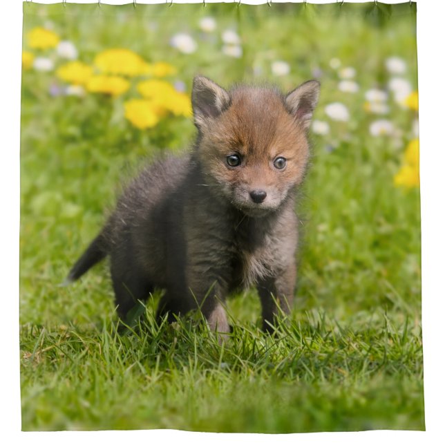 Cute Fluffy Red Fox Cub Wild Baby Animal, Tub (Front)