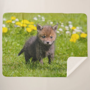 Cute Fluffy Red Fox Kit Cub Wild Baby Animal Photo Sherpa Blanket