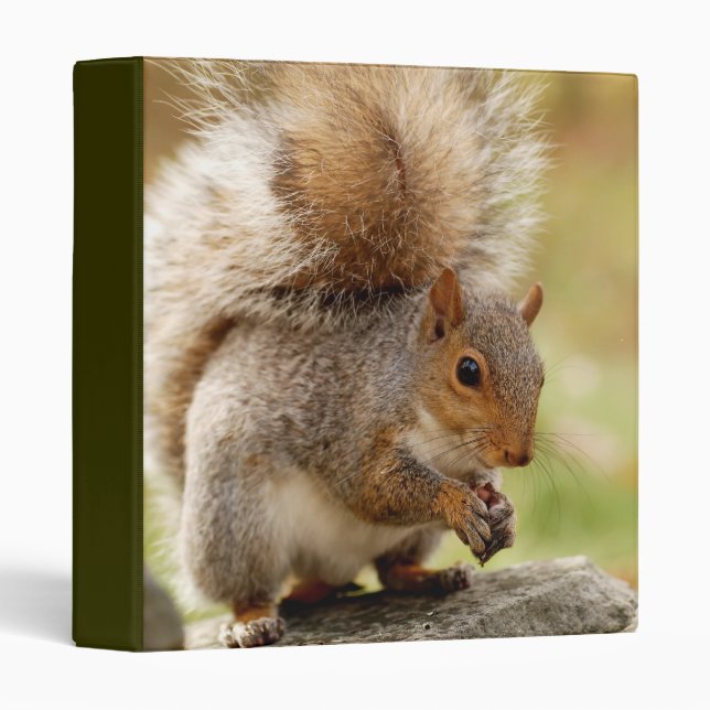 Cute Fluffy Squirrel 1" Photo Album Binder (Front/Spine)