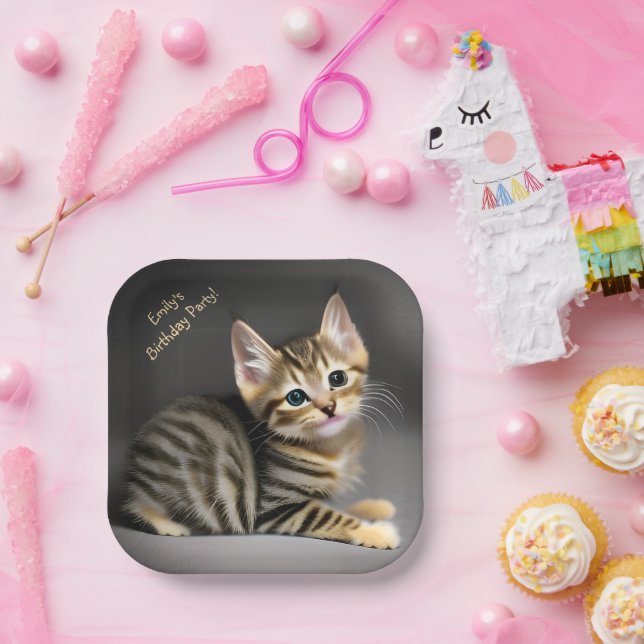 Cute fluffy tabby cat baby   paper plate (Party)