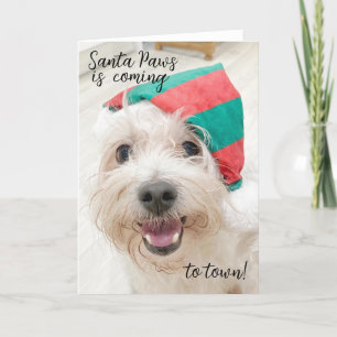 Cute fluffy white dog christmas card