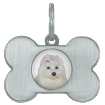 Cute Fluffy White Maltese Lili