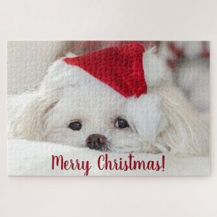 Cute Fluffy White Maltese Puppy Dog in a Santa Hat Jigsaw Puzzle