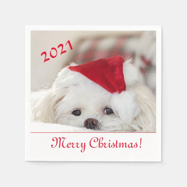Cute Fluffy White Maltese Puppy Dog in a Santa Hat Napkin (Front)
