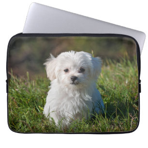 Cute Fluffy White Maltese Puppy Dog Laptop Sleeve
