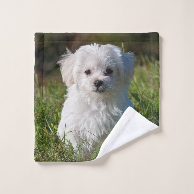 Cute Fluffy White Maltese Puppy Dog Wash Cloth (Wash Cloth)