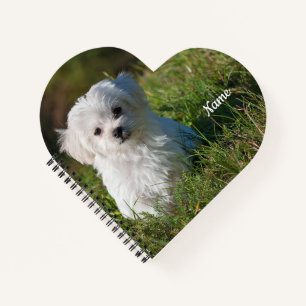 Cute Fluffy White Maltese Puppy Notebook