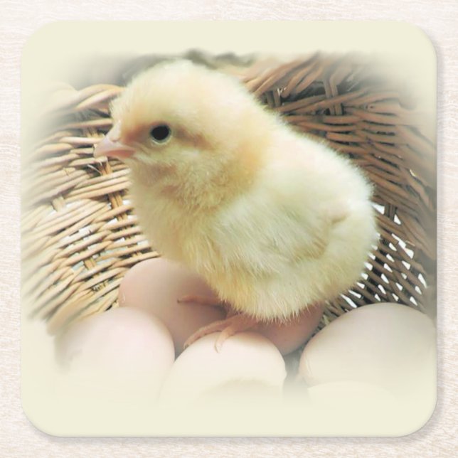 Cute Fluffy Yellow Baby Chicken in Basket Square Paper Coaster (Front)