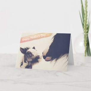 Cute Foal and Mare Horse Happy Mother's Day Card