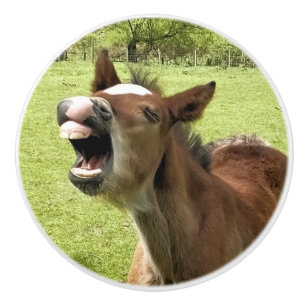 CUTE FOAL CERAMIC KNOB