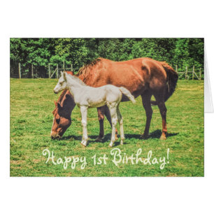Cute Foal Cheval Animaux Personnalisé Joyeux 1er A