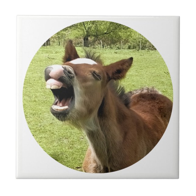 CUTE FOAL TILE (Front)
