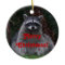 Cute Forest Raccoon Christmas