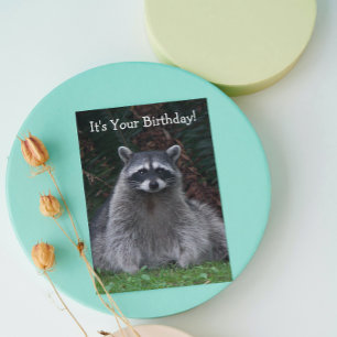 Cute Forest Raccoon Funny Wildlife Birthday Card