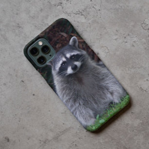 Cute Forest Raccoon Wildlife Photo iPhone 16 Case