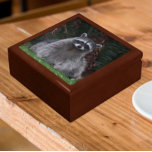Cute Forest Raccoon Wildlife Photo Gift Box<br><div class="desc">Store trinkets,  jewellery and other small keepsakes in this wooden gift box with ceramic tile featuring the photo image of a cute,  forest Raccoon posing for the camera. Select your gift box size and colour.</div>