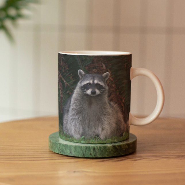 Cute Forest Raccoon Wildlife Photo Mug (In Situ Coaster)
