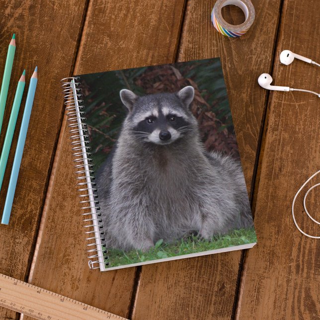 Cute Forest Raccoon Wildlife Photo Notebook (In Situ)