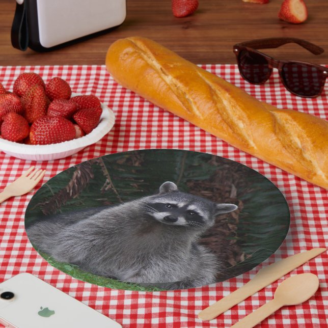 Cute Forest Raccoon Wildlife Photo Paper Plate (Picnic)