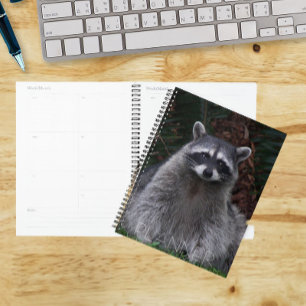 Cute Forest Raccoon Wildlife Photo Planner