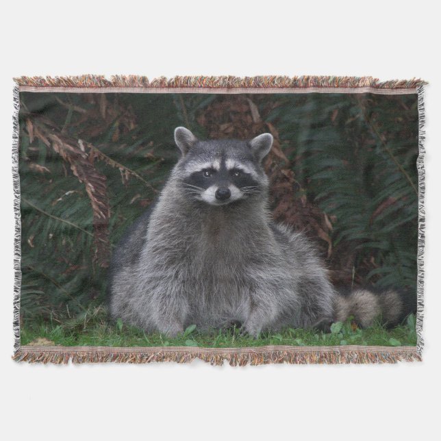 Cute Forest Raccoon Wildlife Photo Throw Blanket (Front)