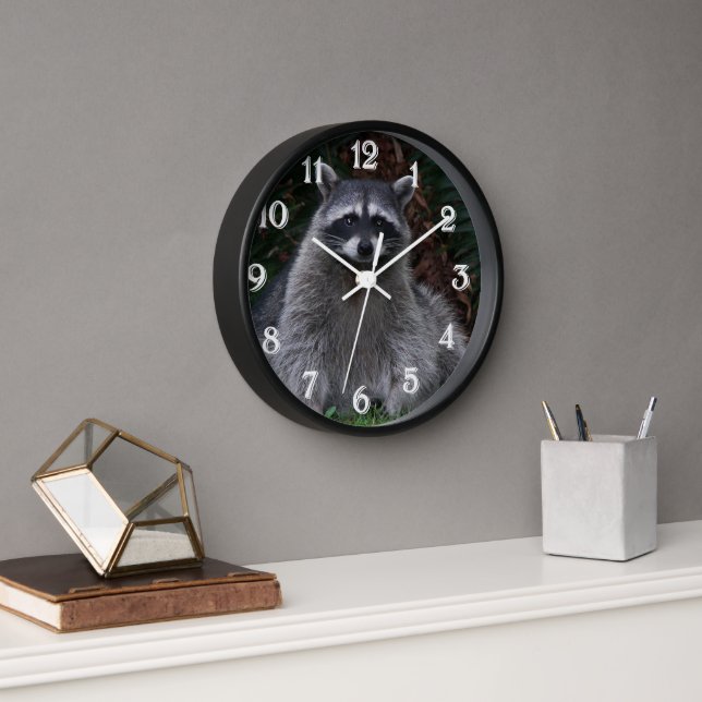 Cute Forest Raccoon Wildlife Photo Wall Clock (Office)