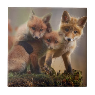 Cute Fox Family Tile
