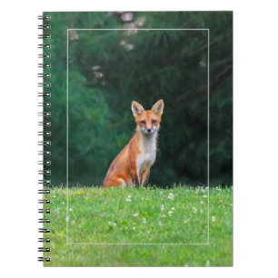 Cute Fox Notebook